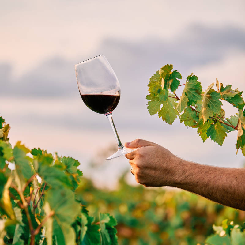 Mountain Bike Lago di Garda